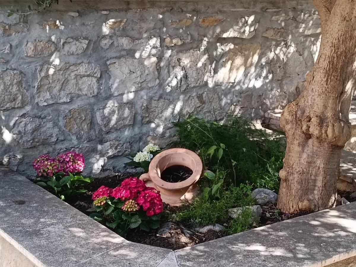 Diocletian Garden Centar Διαμέρισμα Σπλιτ Εξωτερικό φωτογραφία